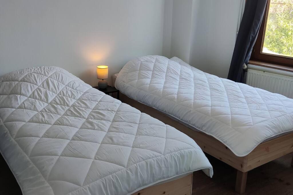 Maison Ronchin/Lille - Proche Toutes Commodites Экстерьер фото